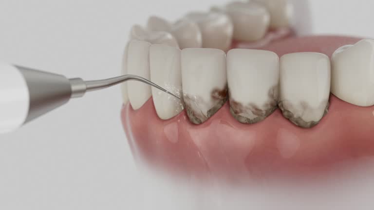 Reliable Dental contractor in Woodlynne, NJ by Dentist Open Now